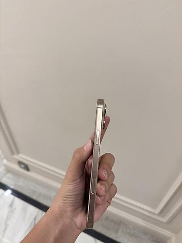 iphone 8: IPhone 16 Pro Max, Б/у, 256 ГБ, Desert Titanium, Кабель, 100 % — 3