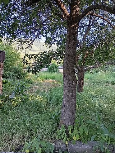 ишу участок: 14 соток, Для строительства — 3