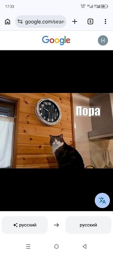 торт медовый: Массаж | Спортивный массаж | Холка на шее | Консультация — 2