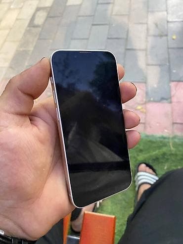 m4 max: IPhone 13 mini, 256 ГБ, Серебристый — 5