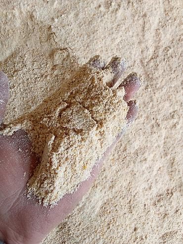 оштон уй сатып алам: Кукуруза дроблёный 26 сом — 2