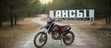 шина виленского бишкек: Эндуро Honda, 300 куб. см, Бензин, Взрослый, Б/у — 1