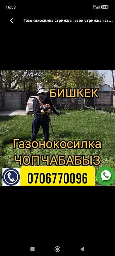клем жууйбуз: Уборка территории, Стрижка газона — 1