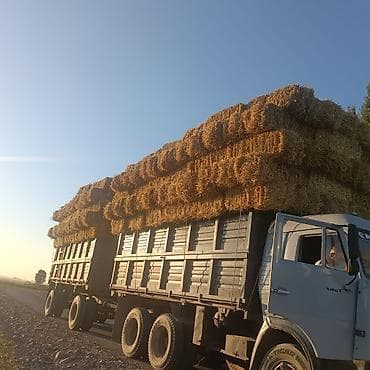 Продам тюки соломы (прямоугольные тюки, плотно спрессованные). -