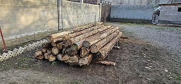 Терезелер жана комплектөөчүлөр: Бревна/стволы деревьев, неокоренные. - Порода: смешанная (визуально — 1