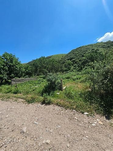 4 соток, Красная книга — 3