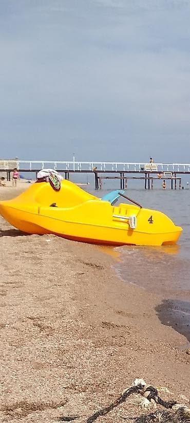 Катамаран водный (педальный), прогулочный. - Материал корпуса