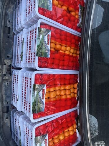 бортик для детской кроватки: Мандарины В розницу, Самовывоз, Платная доставка — 4