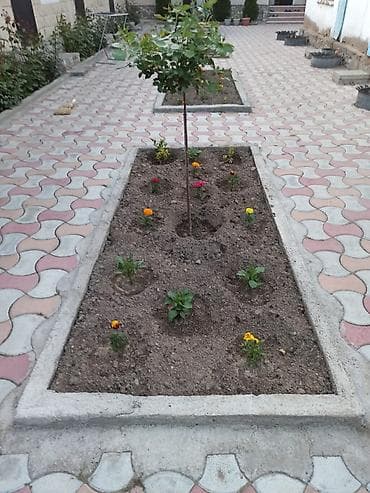 Гостевые дома на Иссык-Куле: Гостевой дом на Иссык-Куле, ЖАННАТ, Голубой Иссык-Куль, Чолпон-Ата, 10+ мест, На летний сезон — 7