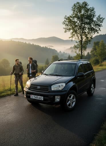 купить литые диски на ниву бу: Toyota RAV4: 2001 г., 2 л, Автомат, Бензин, Кроссовер — 5