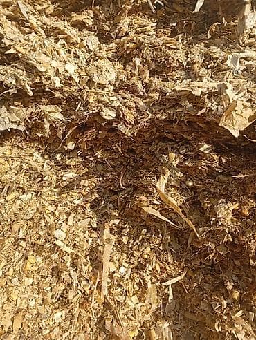 силос сатам: Силос сатылат. качество 100% 7 сом — 1