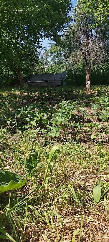 совхоз ала тоо 1990 годы: Продаю Дачу,с.Кой -Таш3 линия от реки Аламедин,Красная Книга,5 — 3