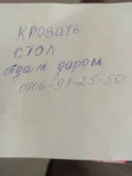 отдам добермана: Отдам даром — 1