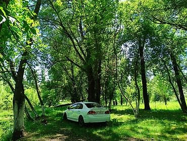initial d: Honda Civic: 2009 г., 1.8 л, Автомат, Бензин, Седан — 1