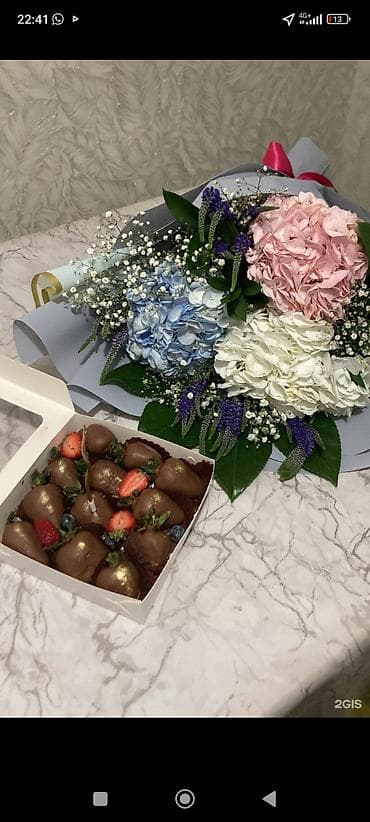 3 комнаты, Собственник, С мебелью полностью