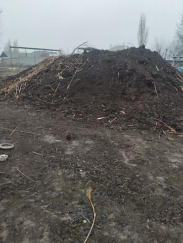 1 кг мяса цена бишкек: Плодородная грунтосмесь/перегной навальный - Состав: темный — 1