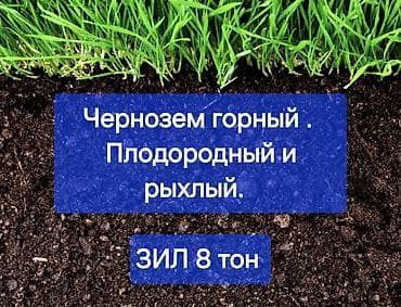 навоз чернозем: В тоннах, Зил — 1