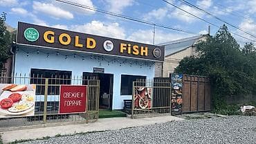 GOLD FISH — кафе с халяльной кухней. Требуется повар универсал В