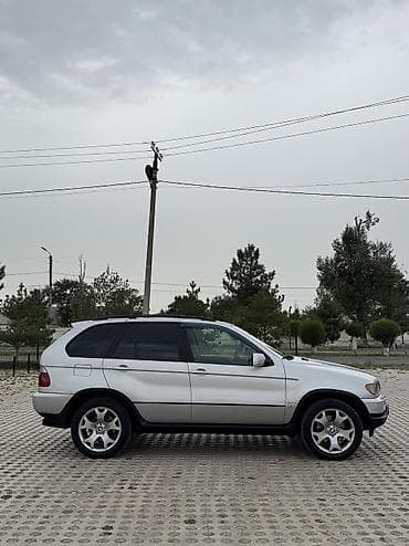 BMW X5: 2003 г., 3 л, Автомат, Дизель, Кроссовер — 6