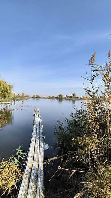 новопокровка 6: 2200 соток, Договор купли-продажи, Красная книга, Тех паспорт — 5