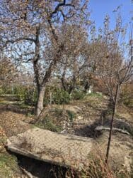 авангард продажа домов: 7 соток, Курулуш, Кызыл китеп, Сатып алуу-сатуу келишими — 12