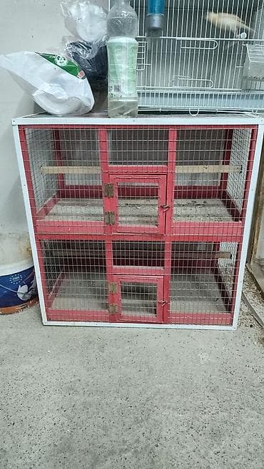 тайлар сатылат: Многоярусная клетка-вольер для мелких животных/птиц - Двухъярусная — 1