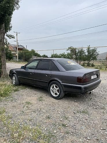для мойки машины пистолет: Audi 100: 1992 г., 2 л, Механика, Бензин, Седан — 2