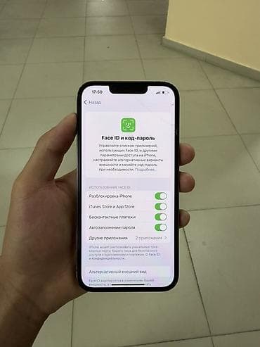 phone 15: IPhone 13 Pro, Графит, 87 % — 4