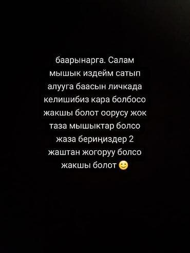 Вязка: Бомбейская, Мальчик, 4 года, С прививками, Белый