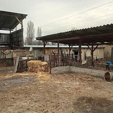 частный дом: Продаётся жилой дом с большим двором и хозяйственным двором. Основные — 8