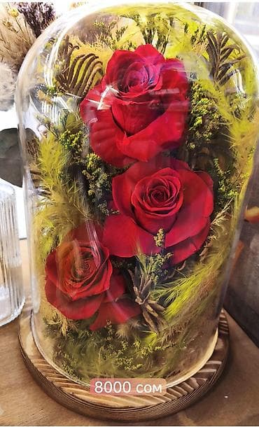 сплав розе: Подарок - живые розы которые не завянут даже через год!!! Роза в — 2