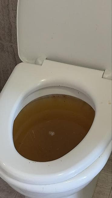 сантехник чистка труб: Чистка канализации — быстро и недорого. Выезд 24/7. Услуги: - — 4