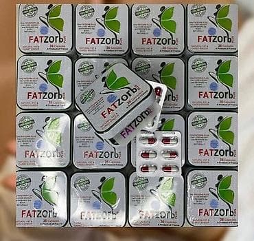 FATZorb» Плюс (Фатзорб) на сегодня являются