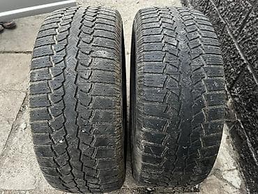 Шины 255 / 55 / R 18, Зимняя шипованная, Б/у, Пара, Внедорожные (АТ/МТ), Германия, Maxxis