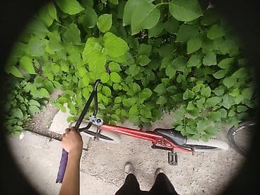 Спорт жана хобби: BMX велосипед — 2