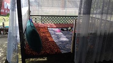 вьющиеся роза: Беседка Металл — 6