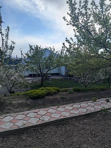 дом участок: 11 соток, Красная книга, Тех паспорт — 6