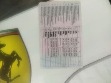 шагыл сокулук: Трезвый водитель любой вид авто — 2