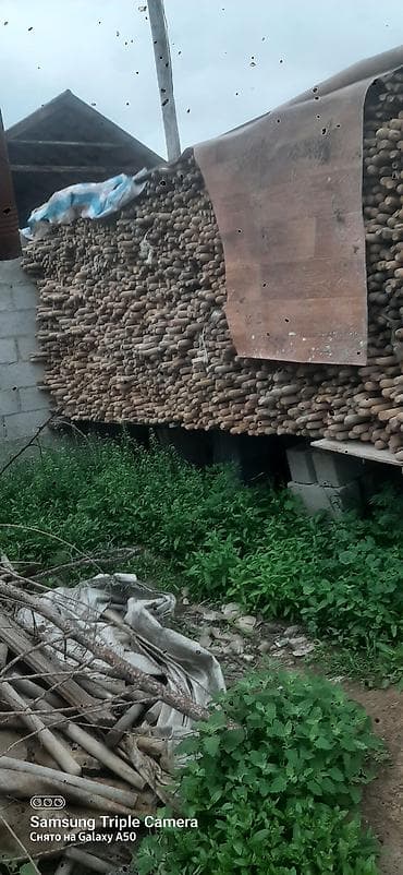 кусторез аккумуляторный: Черенки для садового инвентаря — 2