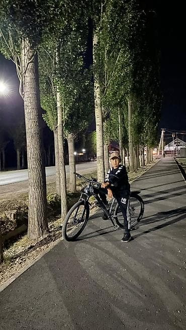 гантели маленькие: Горный велосипед, Рама M (156 - 178 см), Алюминий — 4