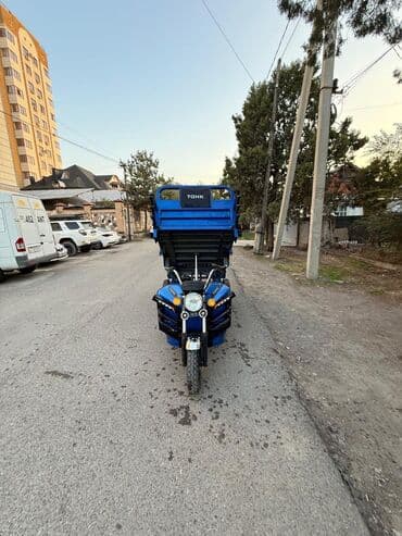 мото квадрацикл: Мотороллер муравей Электро, 60 км, 1000 - 1499 кг, Б/у — 8