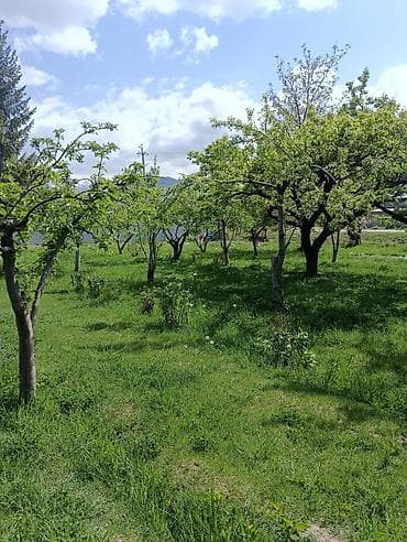 8 соток, Для сельского хозяйства at lalafo.kg 8 соток, Для сельского хозяйства