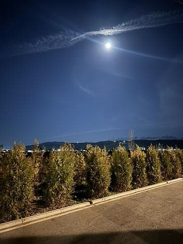 С подселением эки кыз керек жашаганга Таза тын ыймандуу кыздар керек at lalafo.kg С подселением эки кыз керек жашаганга Таза тын ыймандуу кыздар керек