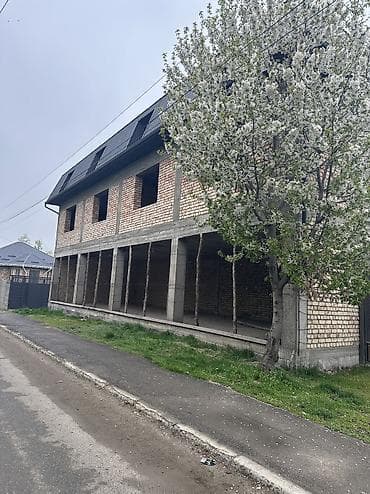 кв манас: 8 соток, Красная книга — 4