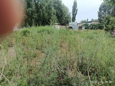 дом институт земледелия: 23 соток, Айыл чарба үчүн, Кызыл китеп, Техпаспорт — 5