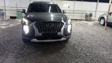 дверь портер 1: Hyundai Palisade: 2019 г., 2.2 л, Автомат, Дизель, Кроссовер — 3