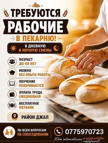 работы ош: Требуются сотрудники — 1