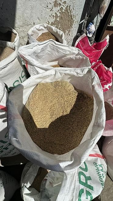 соль в мешках: Крупы/зерновые в мешках - Насыпные крупы и дроблёное зерно в тканевых — 1