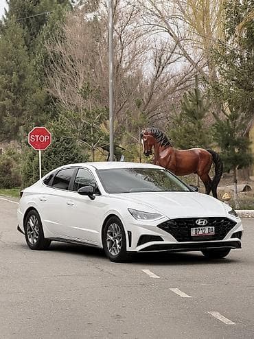 соната 2018: Hyundai Sonata: 2022 г., 2.5 л, Типтроник, Бензин, Седан — 3