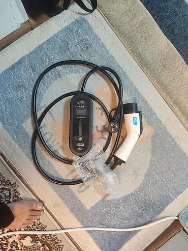 Портативное зарядное устройство для электромобиля (EVSE) - Тип